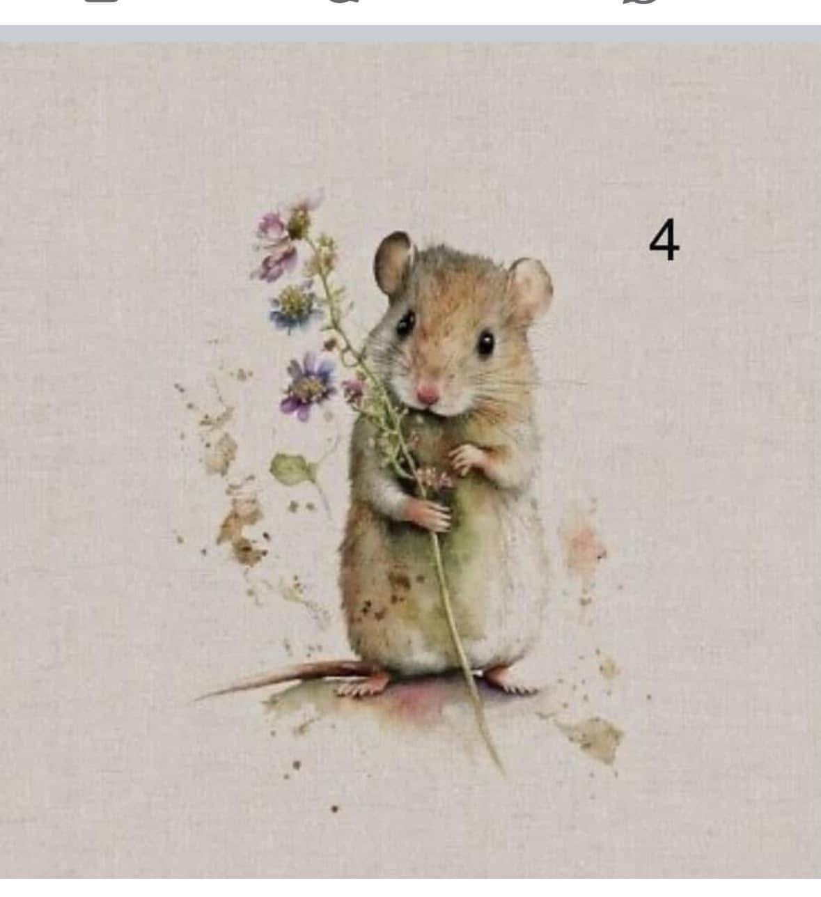 Cotton rich canvas panel fabric material