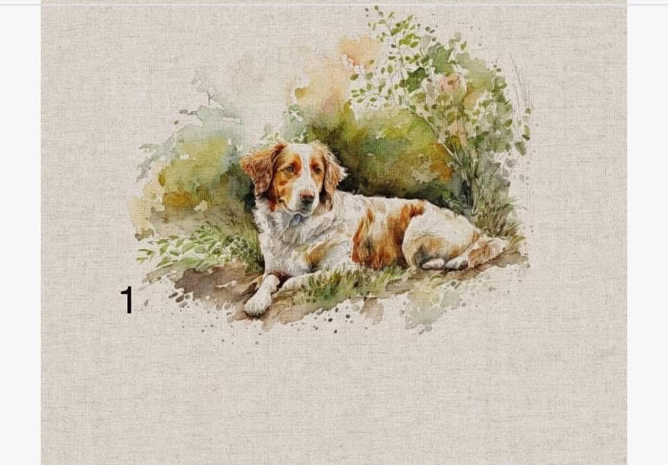 Cotton rich canvas panel fabric material