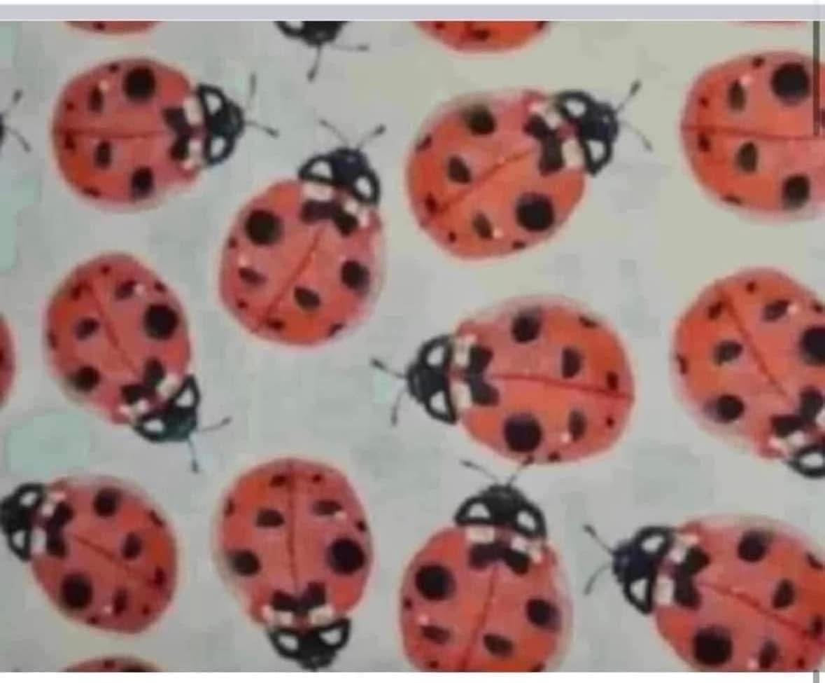 100% cotton fabric material