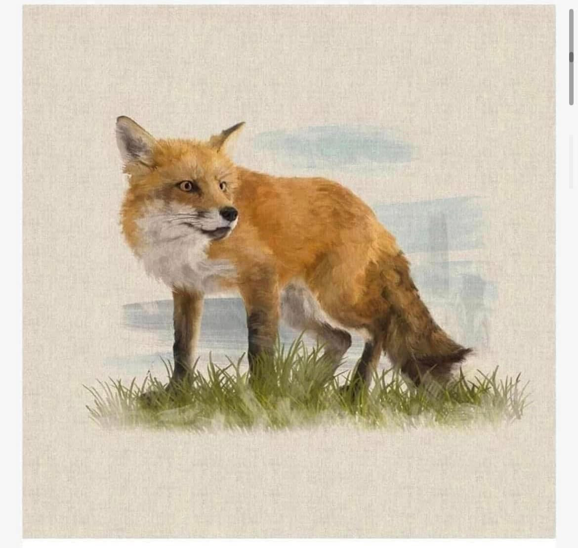 Cotton rich canvas panel fabric material