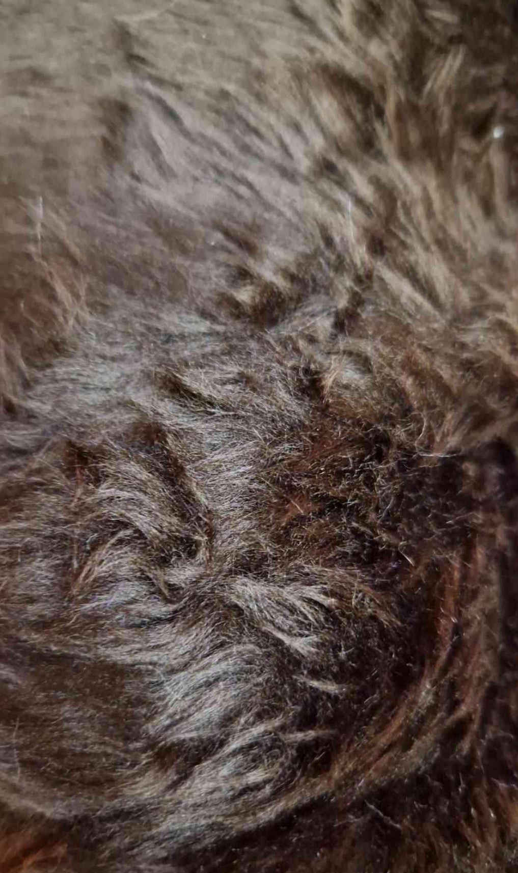 Faux fur short pile