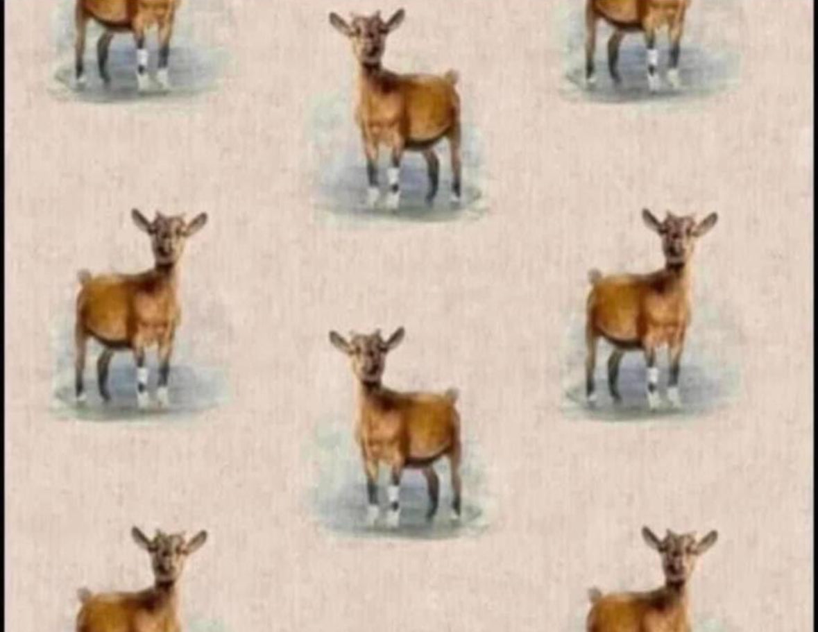 Cotton rich canvas fabric material