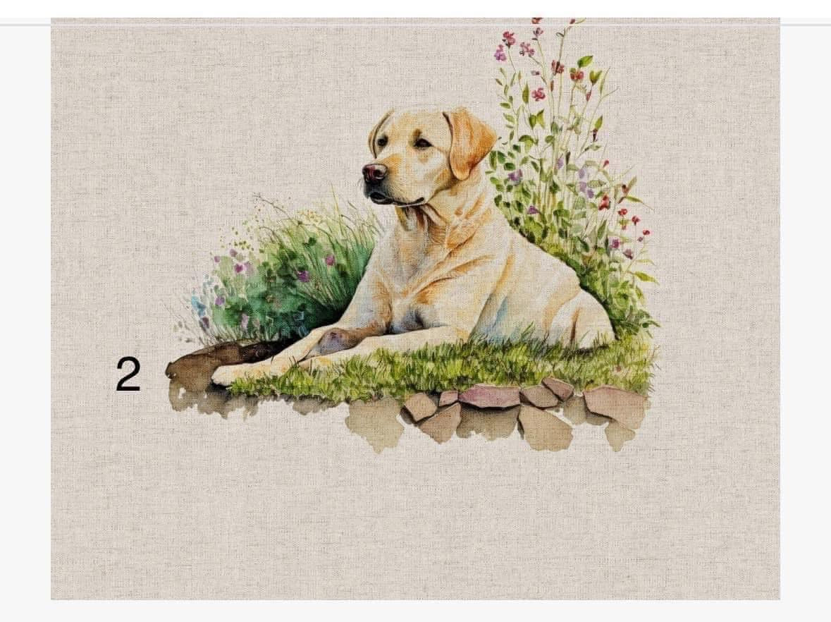 Cotton rich canvas panel fabric material