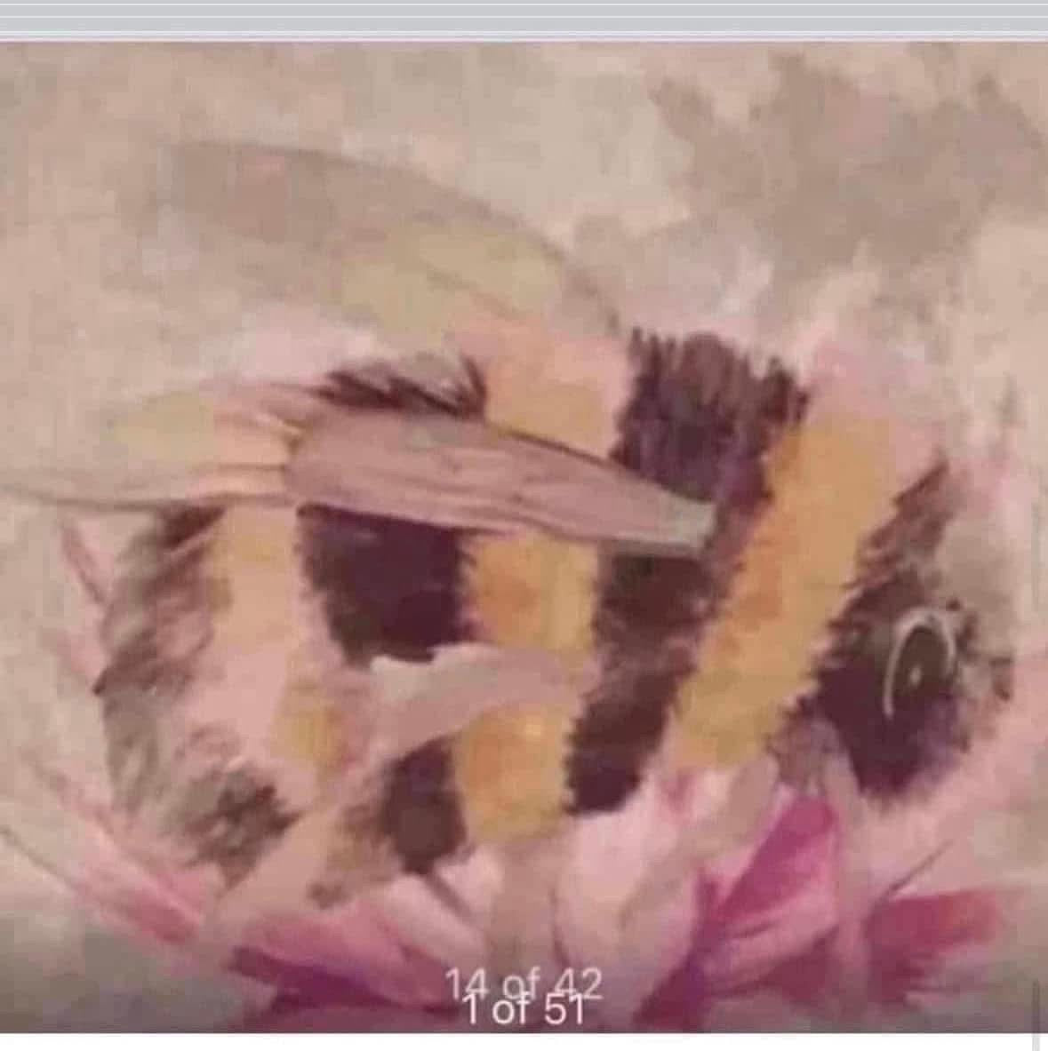 Cotton rich canvas panel fabric material